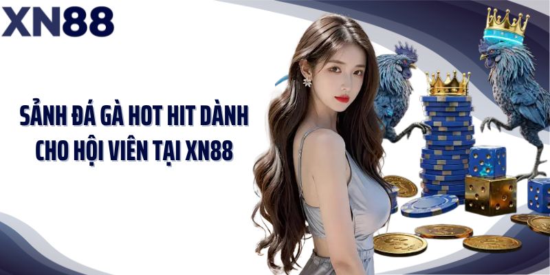Sảnh đá gà hot hit dành cho hội viên tại XN88